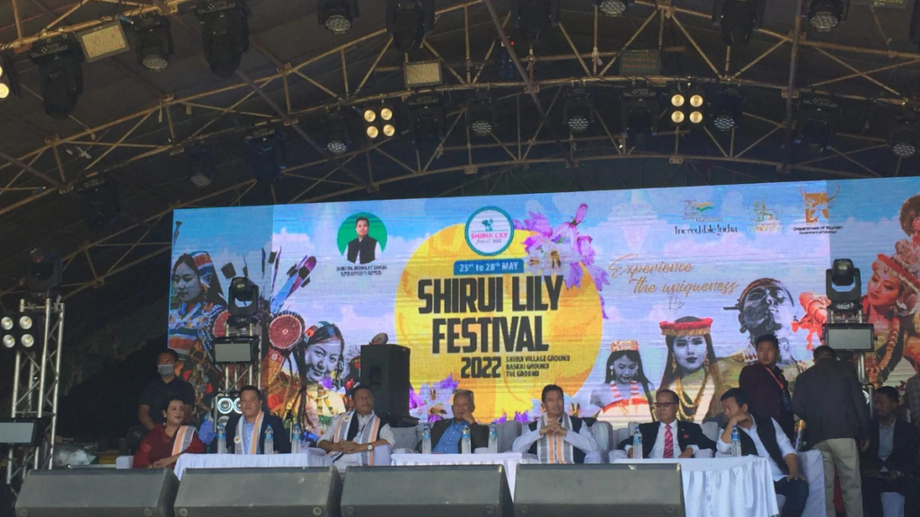 Shirui Lily Festival