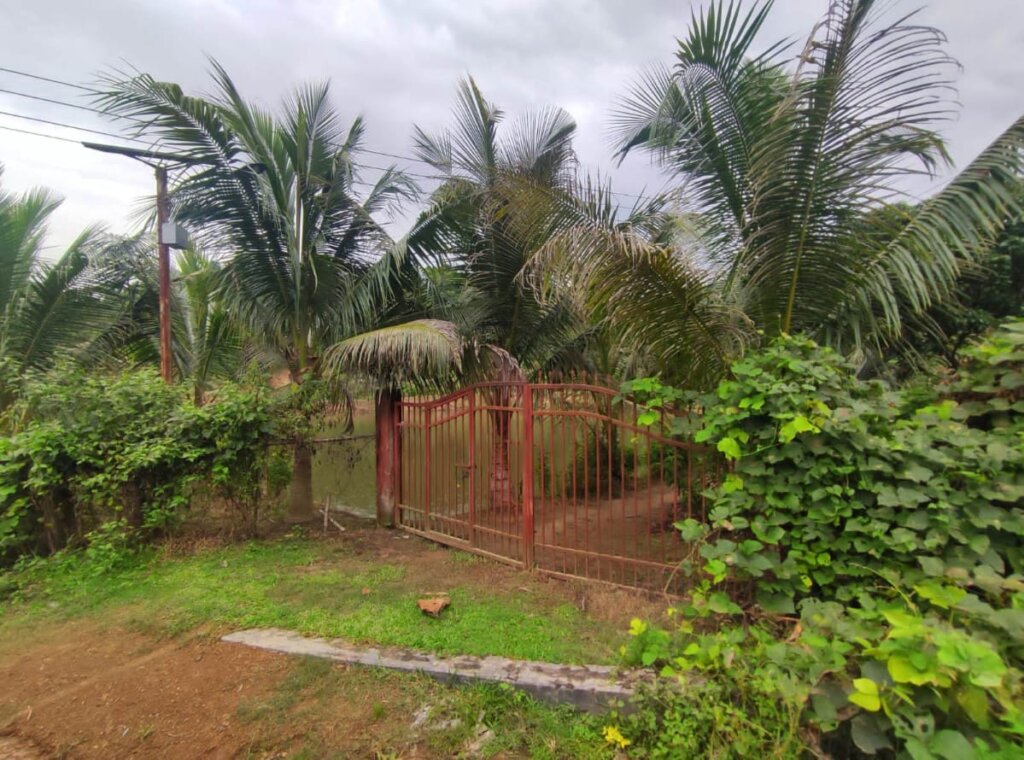 Bangladesh minister Grabs Land Photos