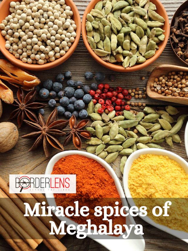 Meghalaya’s Spice Chronicles