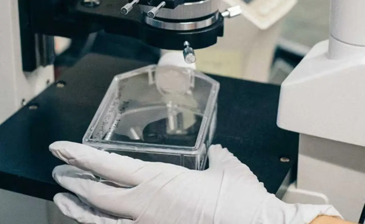 Forensic-lab