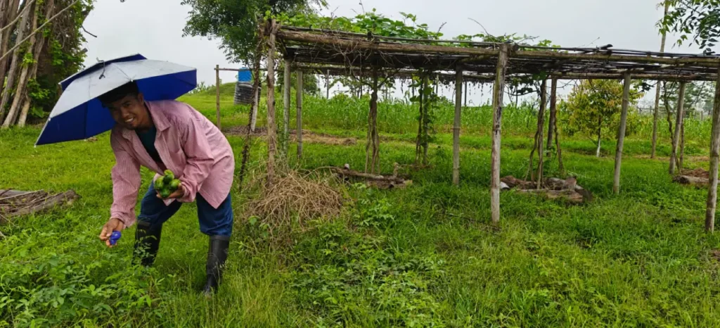 Lungaithui Malangmei, which his innovative sustainable farming practices in Balijan