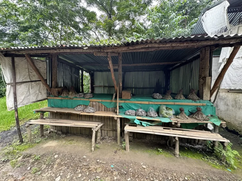 Road side stall without shop keepers at Nagaland