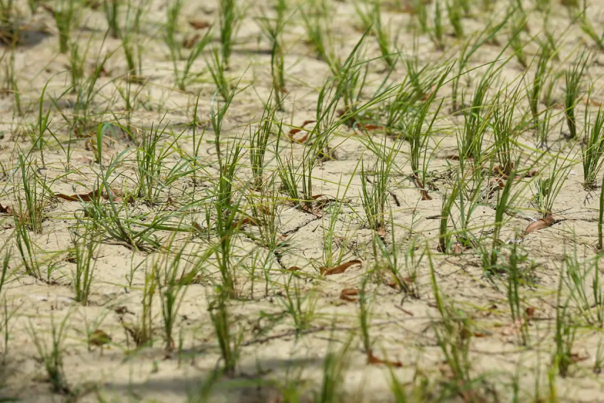 Nepal’s-main-farming-area-is-dry-img3