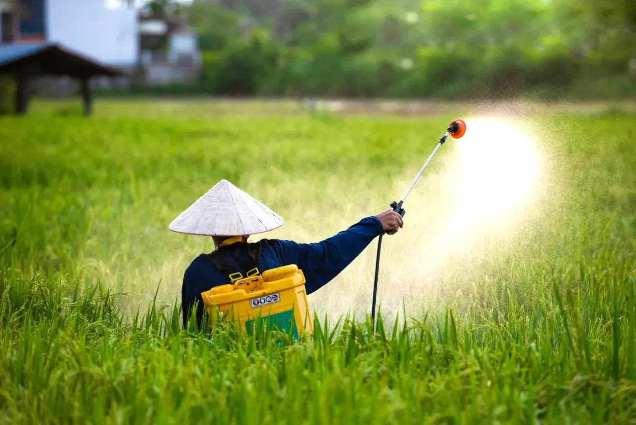 Farmer-spraying-chemical-on-crops