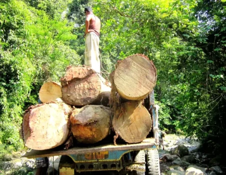 Deforestation-in-remote-Bandarban-photo-1-2