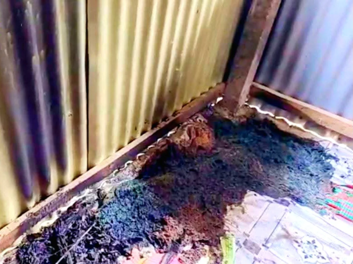 Arson attack Buddhist temple photo3