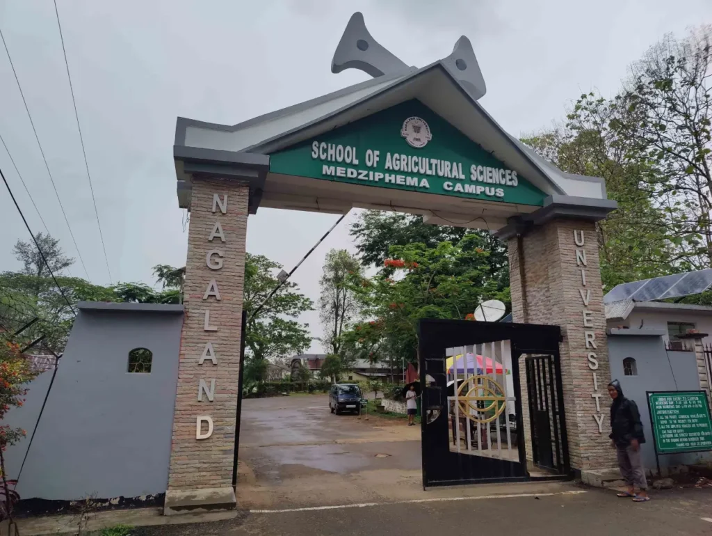 Nagaland university