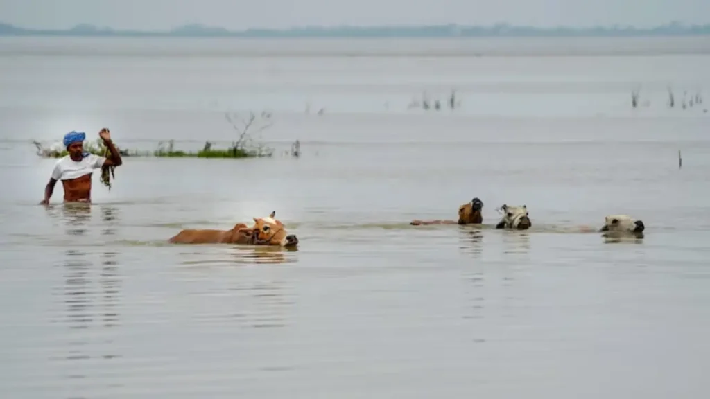 upper-assam-flood