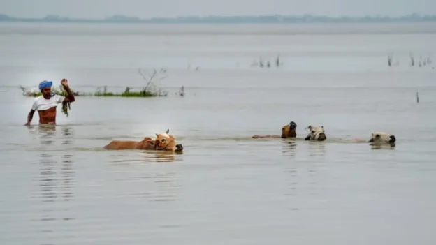 upper-assam-flood